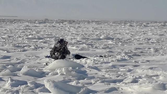 ОСОБЕННОСТИ АЛАКОЛЬСКОЙ ЗИМНЕЙ РЫБАЛКИ!!! смотреть онлайн