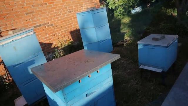 Как предотвратить роение? смотреть онлайн