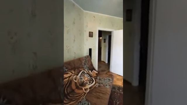 Продаю 3-комн. квартиру в Болгарстрое смотреть онлайн