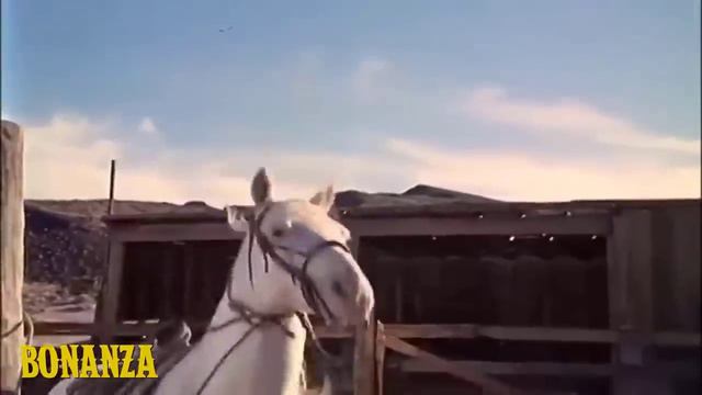 Bonanza - El Regalo - Temporada 2 Capítulo 27 (Episodio Completo en Español Latino) смотреть онлайн