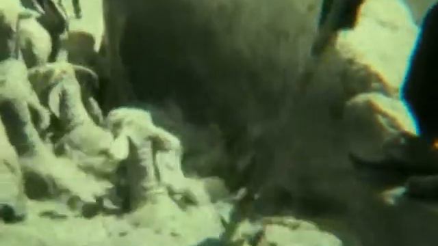 Высоко в горах (Up High In the Mountains) 1966 смотреть онлайн