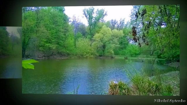 Только дома. смотреть онлайн