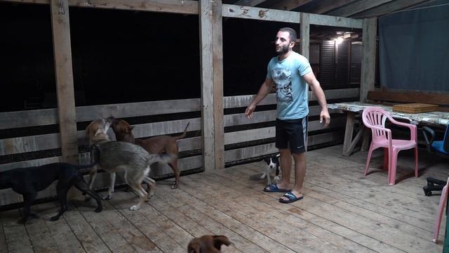 Приезд домой, встреча с моими питомцами смотреть онлайн