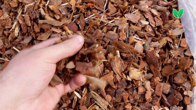 Мульчирование - кора сосны средней фракции с примесью щепы 5-15% смотреть онлайн