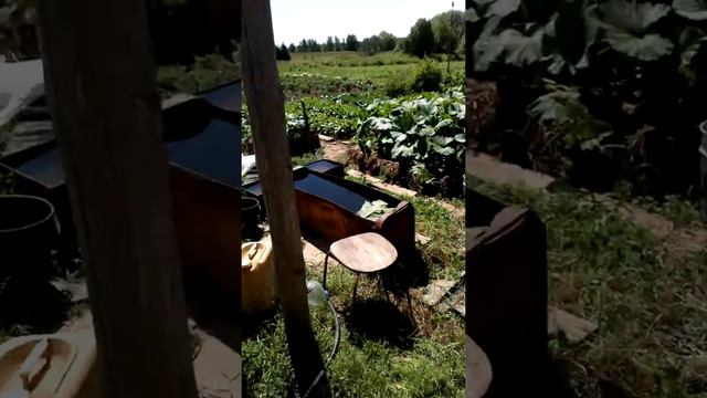 Чем заняться сегодня? смотреть онлайн