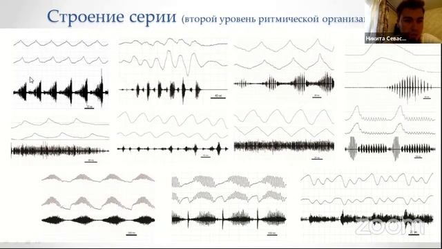 ИТИС-2020. День 2. Информационные системы in vivo.