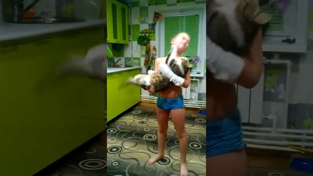 Попытка поцеловать кота смотреть онлайн