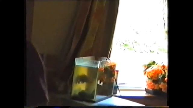 Ирландия# 22  Старое кино серия 2. Быт трудовых мигрантов.