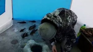 Зимняя рыбалка на озере Сосновское в Свердловской области.