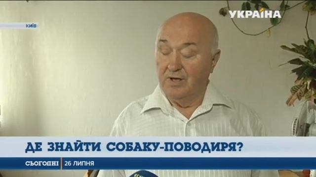 Где найти собаку-поводыря? смотреть онлайн