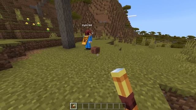 I Coded Armadillos To Win Your Minecraft Vote