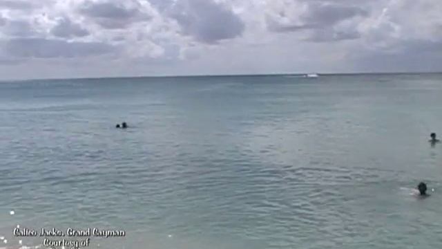 Calico Jacks Grand Cayman смотреть онлайн