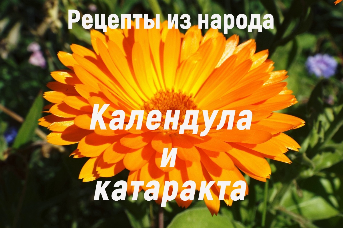 КАТАРАКТУ лечим сами. смотреть онлайн