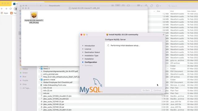 MySQL server installation and MySql workbench setup смотреть онлайн