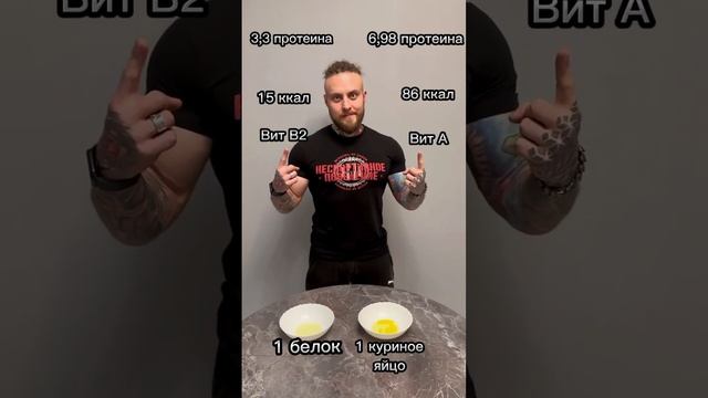 Яйца куриные. Польза яиц. Состав куриного яйца