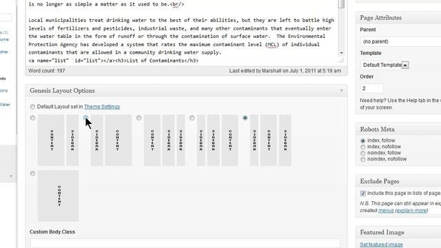 Wordpress Training: Sidebar Menus смотреть онлайн