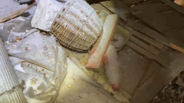 Это Клондайк какой-то. Продолжаю забирать вещи из старого деревенского дома и сараев.