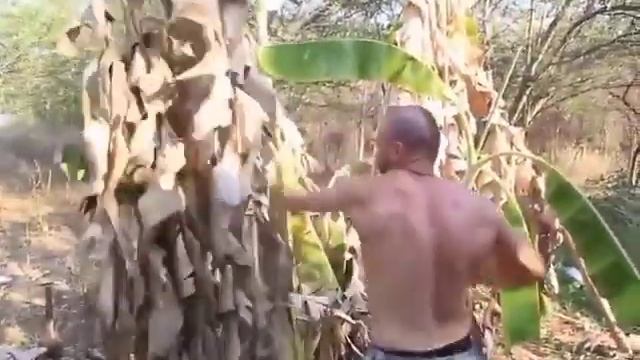 Максим Марцинкевич смотреть онлайн