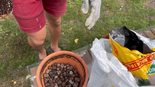 ОТПУСК или теперь работает на стройке? В ПАЛАНГУ ЗА ПРОДУКТАМИ! Готовим чебуреки смотреть онлайн