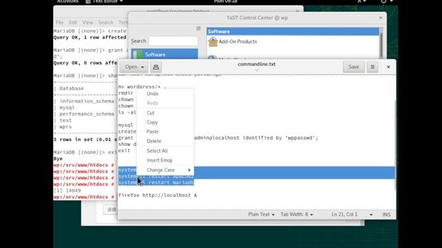 openSUSE Leap15, How to install Wordpress смотреть онлайн