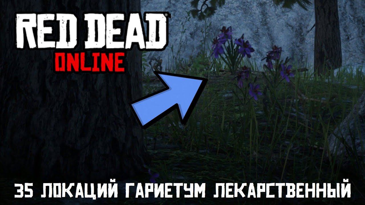 Red Dead Online: Все 35 локаций растений Гариетум Лекарственный смотреть онлайн