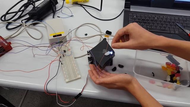 Jellybean Sorter Project.