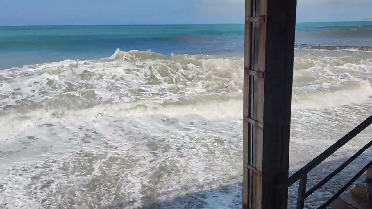 Адлер_2024_04_22_