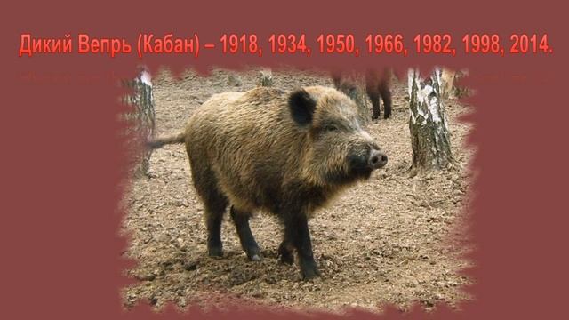 20 марта - весеннее равноденствие. Тотемный календарь славян — 2020 год - год Мизгиря. смотреть онлайн