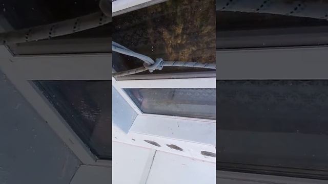 Промальп. Секреты промышленного альпинизма.