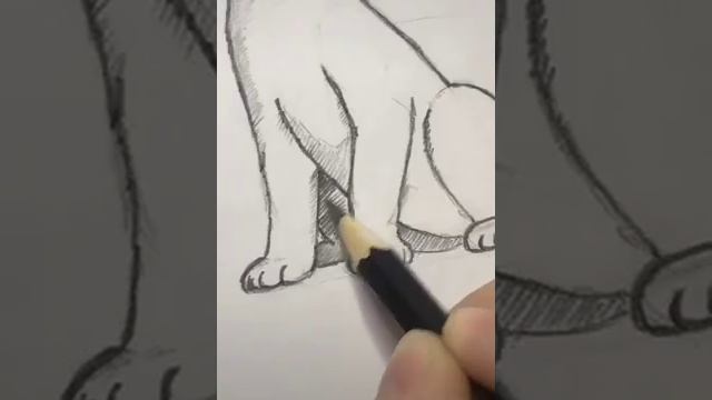 Как нарисовать животных карандашом.... смотреть онлайн