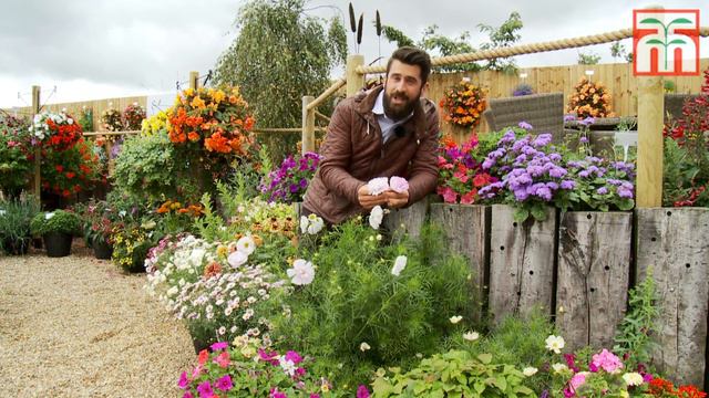 Breed your own plants with Thompson & Morgan смотреть онлайн