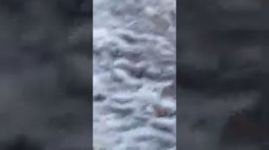 Паводковая ситуация в Краснощеково Алтайского края