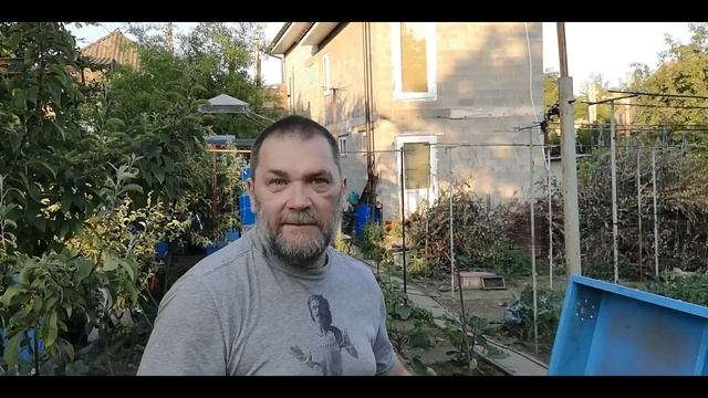 Семья инкубатор, сколько пчел нужно в воспиталке. смотреть онлайн