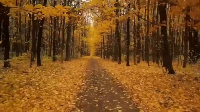 Истории из жизни. Валерий возвращается от любовницы и твёрдо уверен, что с женой должен развестись смотреть онлайн