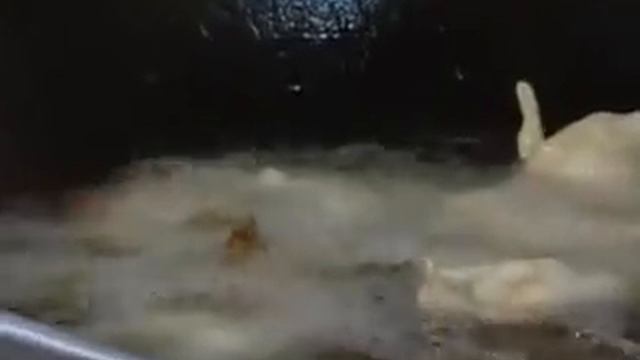 Тигровые креветки в японском стиле смотреть онлайн