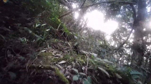 WILDTRAVLER KHAO PHANOM BENCHA NATIONALPARK EXTREAM HIKING TRIP 13 смотреть онлайн