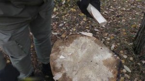 Нож TAMASHII CIVIVI / Bob Terzuola. Уличный тест