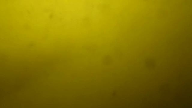 Как сделать самодельную универсальную прикормку (карась, плотва) смотреть онлайн