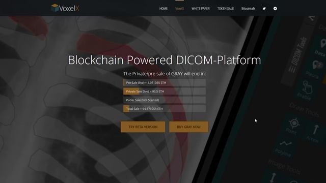VoxelX Обзор смотреть онлайн