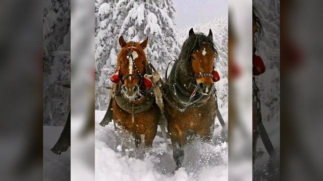 Кони привередливые Дед поёт смотреть онлайн