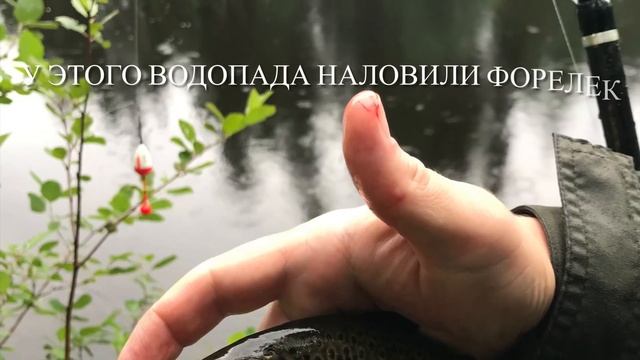 КАРЕЛИЯ С РЕБЁНКОМ,ПЯОЗЕРО, ИЮЛЬ 2022, БЕЛЫЕ НОЧИ, НАЛИМ, ФОРЕЛЬ смотреть онлайн