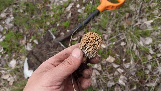 очередной выезд в поисках заветного сигнала ))) смотреть онлайн