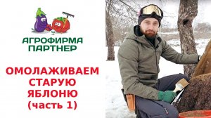 ОМОЛАЖИВАЕМ СТАРУЮ ЯБЛОНЮ. ВОЛШЕБНАЯ ЗАМАЗКА (часть 1)