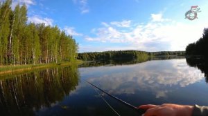 Уловистый поппер Sert Killer Pop за 70 рублей