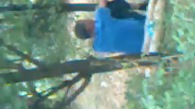 Скрытая камера смотреть онлайн