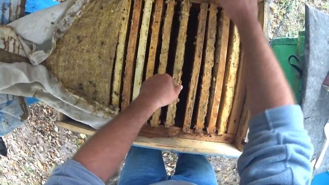 Не допускайте такие рамки в зиму. смотреть онлайн