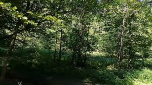 Повесть Виталия Полозова "На заимке" продолжение, часть 6, читает автор.