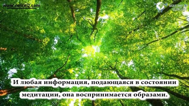 Путешествие по всем затаённым уголкам вашей Души. Квинтэссенция - Медитативный курс Н.Пейчева смотреть онлайн