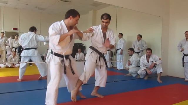 Vanik Arutyunyan. Budo Academy #10