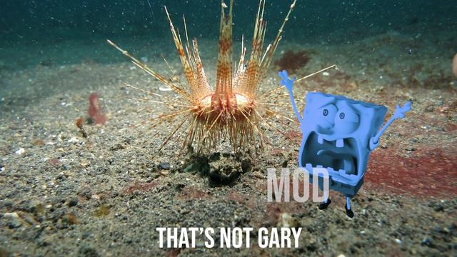 15 Sponge Bob "Screaming Gary" Sound Variations in 45 Seconds | MODIFY EVERYTHING смотреть онлайн